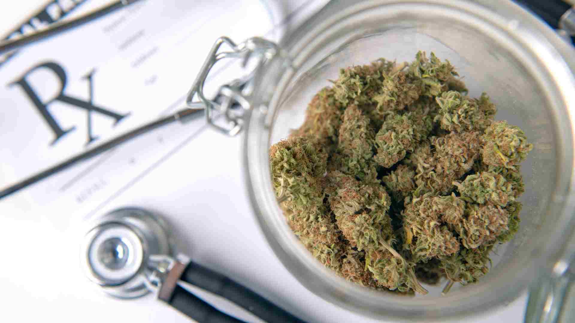 Neue Trends auf dem Markt – Cannabissamen kaufen legal in Deutschland