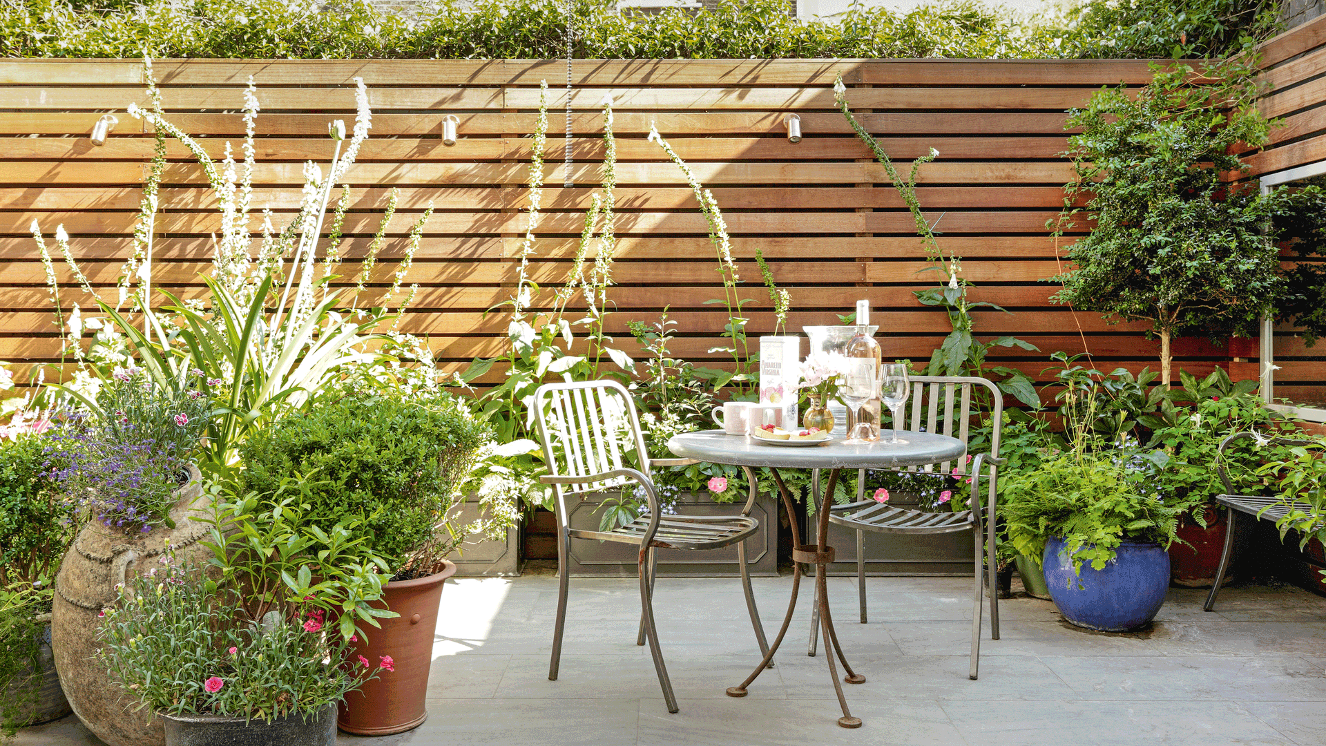 Gestalten Sie Ihren Garten mit Sichtschutz Spalierbäumen: Ein natürlicher Sichtschutz