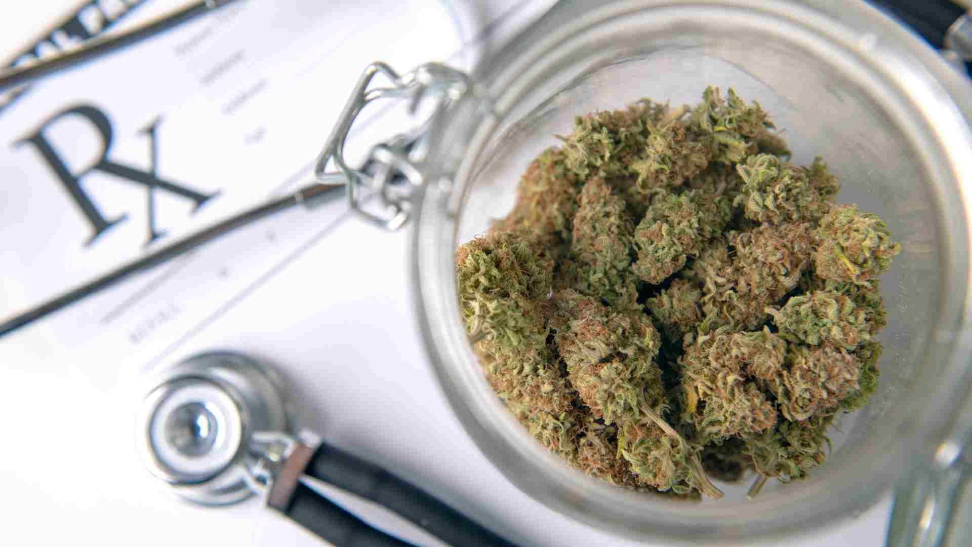 Neue Trends auf dem Markt – Cannabissamen kaufen legal in Deutschland