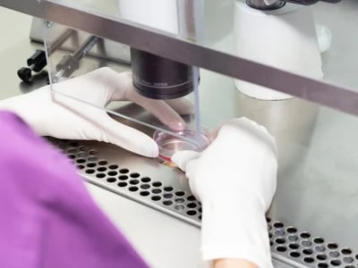 Individuelle Lösungen durch samenbank dänemark