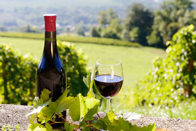 Wein Online Shop für Kenner: Die besten Weine online bestellen