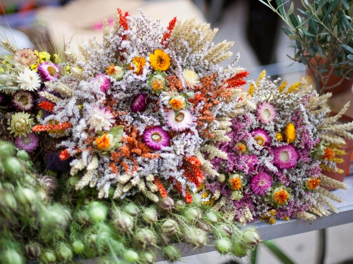 Natürliche Schönheit bewahren: Anleitungen zum Trocknen von Blumen für Dekoration und Handwerk